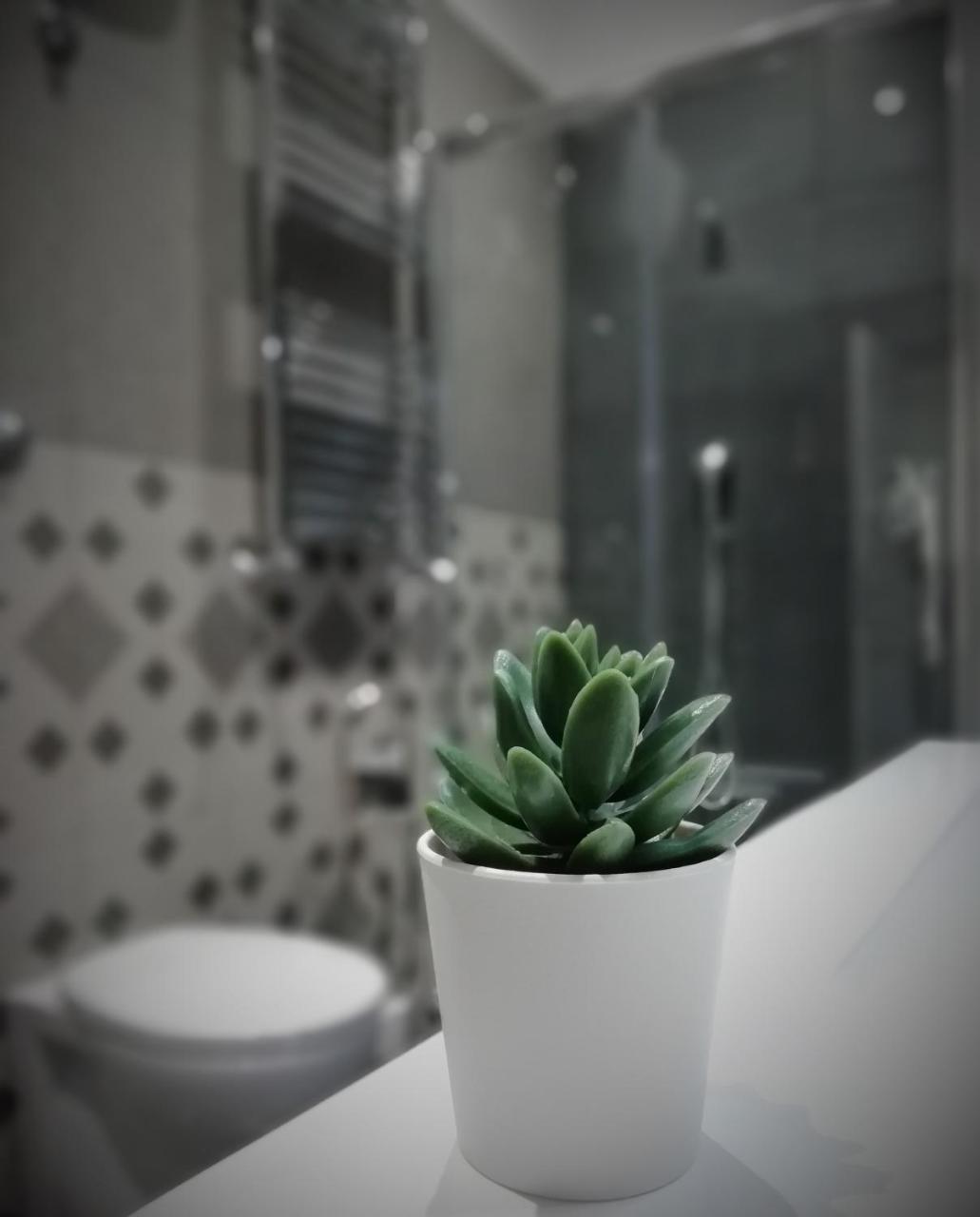 Domus Angelica Apartment Rome Bagian luar foto